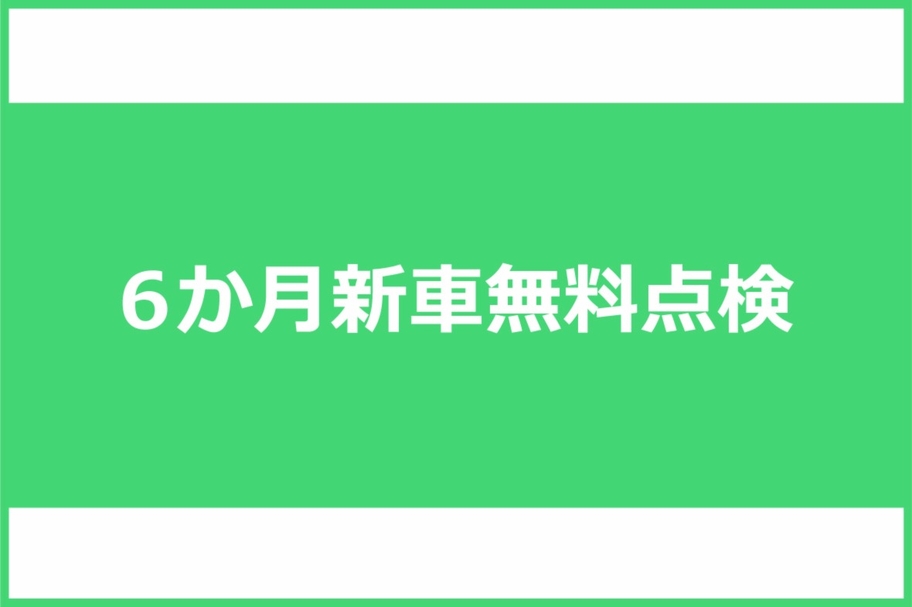 6か月新車無料点検