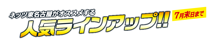 人気ラインナップ